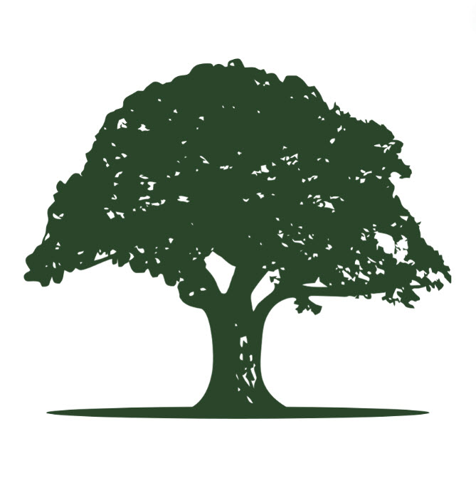 Best Tree Service Company